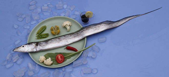 FROZEN SILVER CROAKER